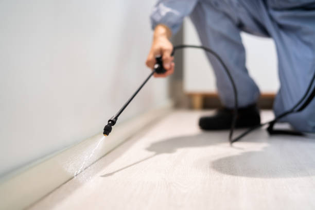 Certified termite inspector examining foundation in Fort Calhoun