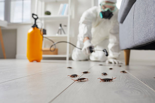 Post-Treatment Bed Bug Interceptor Monitoring in Fort Calhoun