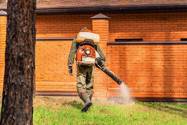 Bed Bug Clearance Verification and Documentation in Fort Calhoun